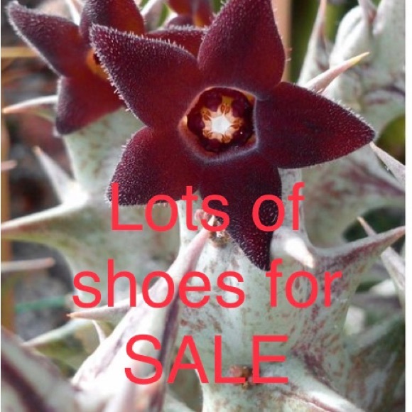 SALE lots of shoes @ 5StarTiffany’s Closet - Picture 1 of 1